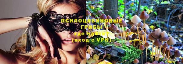 Альфа ПВП Медногорск