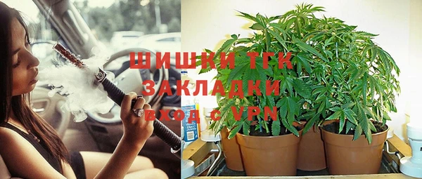 Альфа ПВП Медногорск