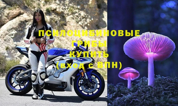 стаф Елизово